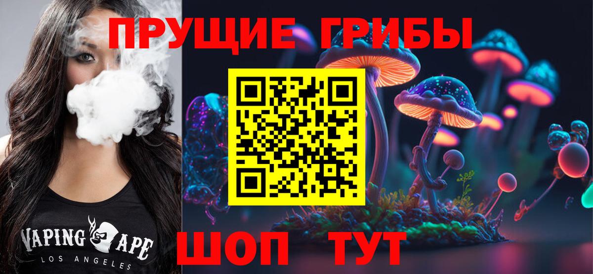 Псилоцибиновые грибы Magic Shrooms  наркотики  Славгород  Вход с VPN 